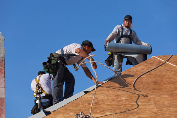 Best Gutter Installation and Roofing  in Morrisville, VT