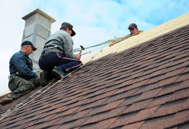 Best Roof Repair Services  in Morrisville, VT